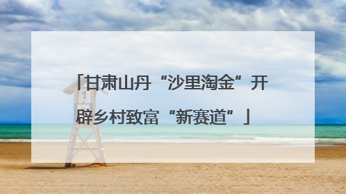 甘肃山丹“沙里淘金”开辟乡村致富“新赛道”