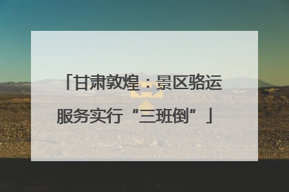 甘肃敦煌：景区骆运服务实行“三班倒”