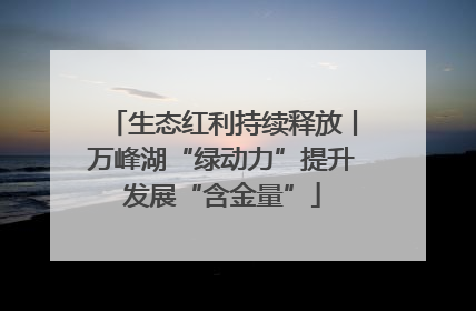 生态红利持续释放丨万峰湖“绿动力”提升发展“含金量”