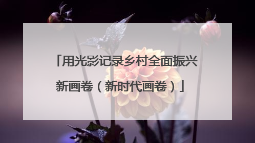 用光影记录乡村全面振兴新画卷（新时代画卷）