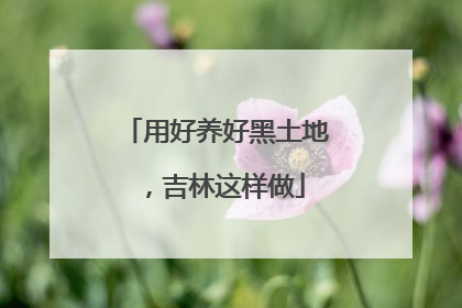 用好养好黑土地，吉林这样做