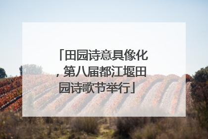 田园诗意具像化，第八届都江堰田园诗歌节举行