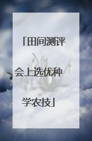 田间测评会上选优种学农技