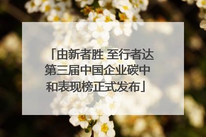 由新者胜 至行者达 第三届中国企业碳中和表现榜正式发布