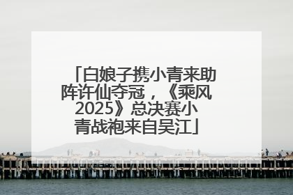 白娘子携小青来助阵许仙夺冠，《乘风2025》总决赛小青战袍来自吴江