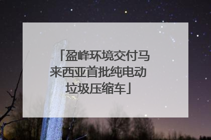 盈峰环境交付马来西亚首批纯电动垃圾压缩车