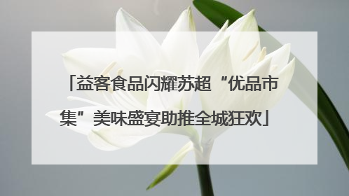 益客食品闪耀苏超“优品市集”美味盛宴助推全城狂欢