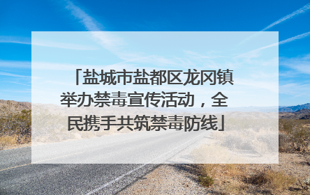 盐城市盐都区龙冈镇举办禁毒宣传活动，全民携手共筑禁毒防线