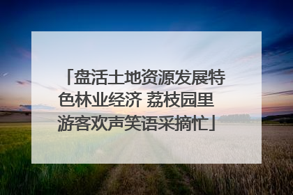 盘活土地资源发展特色林业经济 荔枝园里游客欢声笑语采摘忙