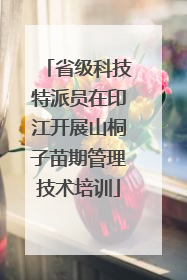 省级科技特派员在印江开展山桐子苗期管理技术培训