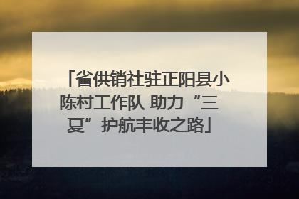 省供销社驻正阳县小陈村工作队 助力“三夏”护航丰收之路
