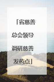 省慈善总会领导调研慈善发药点