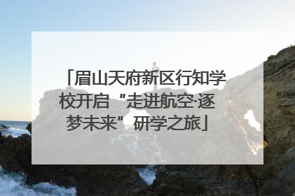 眉山天府新区行知学校开启“走进航空·逐梦未来”研学之旅