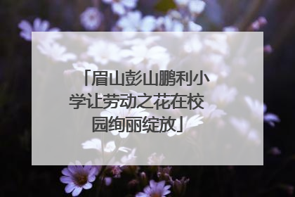 眉山彭山鹏利小学让劳动之花在校园绚丽绽放