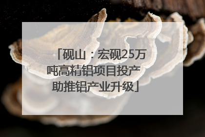 砚山：宏砚25万吨高精铝项目投产 助推铝产业升级
