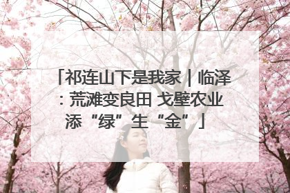 祁连山下是我家｜临泽：荒滩变良田 戈壁农业添“绿”生“金”