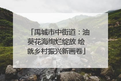 禹城市中街道：油葵花海绚烂绽放 绘就乡村振兴新画卷