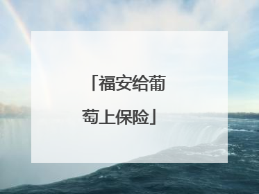 福安给葡萄上保险