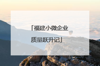 福建小微企业质量跃升记