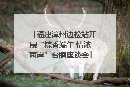 福建漳州边检站开展“粽香端午 情浓两岸”台胞座谈会