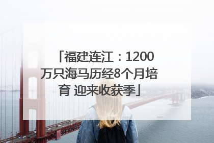 福建连江：1200万只海马历经8个月培育 迎来收获季