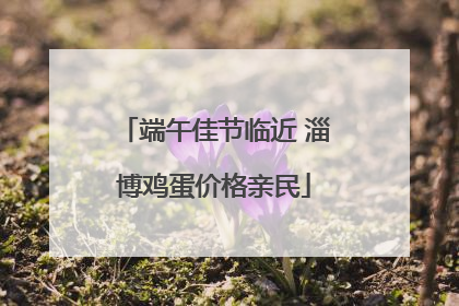 端午佳节临近 淄博鸡蛋价格亲民