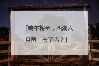 端午将至，西湖六月黄上市了吗？