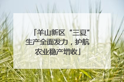 羊山新区“三夏”生产全面发力，护航农业稳产增收