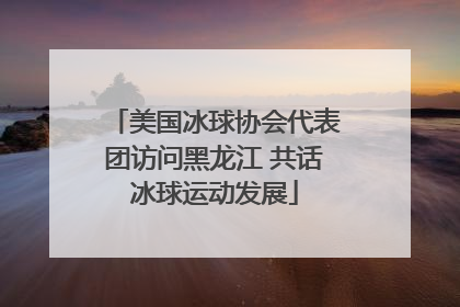美国冰球协会代表团访问黑龙江 共话冰球运动发展
