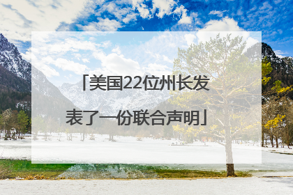 美国22位州长发表了一份联合声明