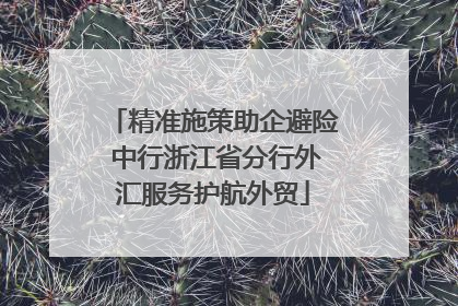 精准施策助企避险 中行浙江省分行外汇服务护航外贸