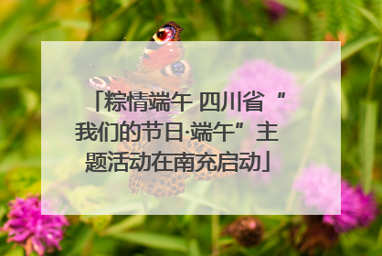 粽情端午 四川省“我们的节日·端午”主题活动在南充启动