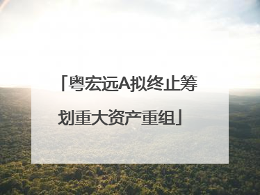 粤宏远A拟终止筹划重大资产重组