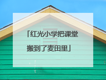 红光小学把课堂搬到了麦田里