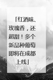 红酒味、玫瑰香，还超甜！多个新品种葡萄即将在成都上线