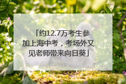 约12.7万考生参加上海中考，考场外又见老师带来向日葵