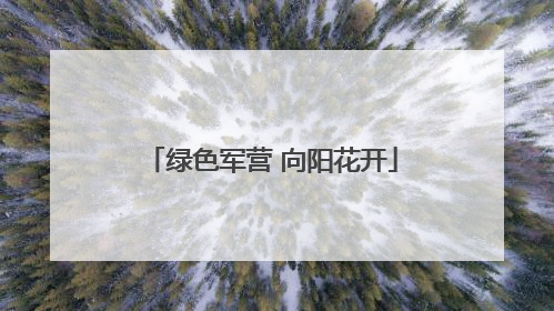 绿色军营 向阳花开