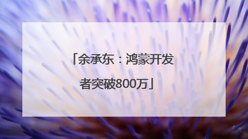 余承东：鸿蒙开发者突破800万