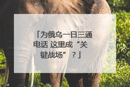 为俄乌一日三通电话 这里成“关键战场”？