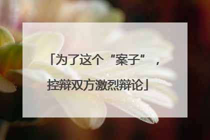 为了这个“案子”，控辩双方激烈辩论