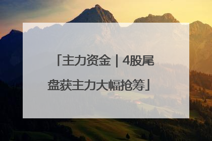 主力资金｜4股尾盘获主力大幅抢筹