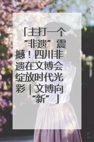 主打一个“非遗”震撼！四川非遗在文博会绽放时代光彩｜文博向“新”