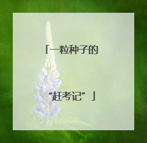 一粒种子的“赶考记”