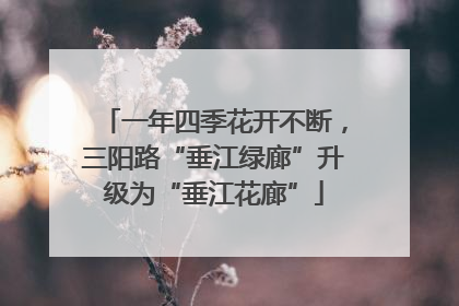 一年四季花开不断，三阳路“垂江绿廊”升级为“垂江花廊”