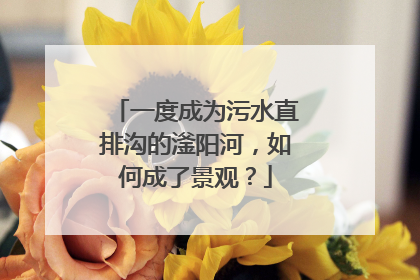一度成为污水直排沟的滏阳河，如何成了景观？