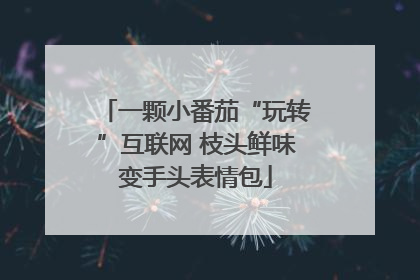 一颗小番茄“玩转”互联网 枝头鲜味变手头表情包