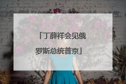 丁薛祥会见俄罗斯总统普京