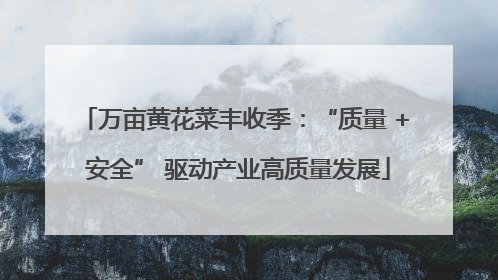 万亩黄花菜丰收季：“质量 + 安全” 驱动产业高质量发展