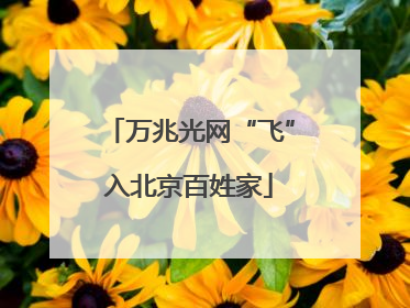 万兆光网“飞”入北京百姓家