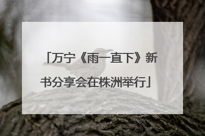 万宁《雨一直下》新书分享会在株洲举行